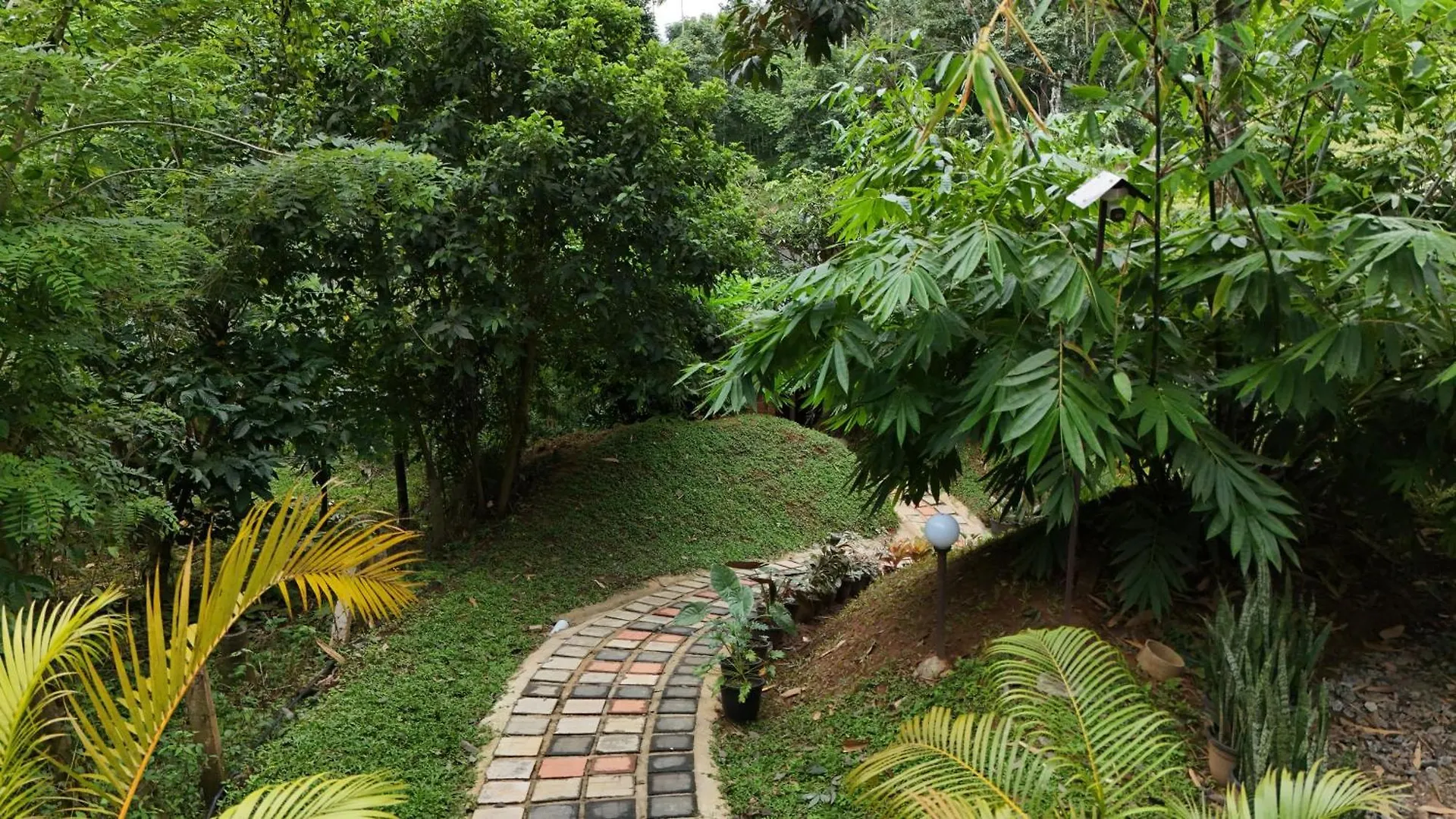 Casta Wild Resort Batheri Indien